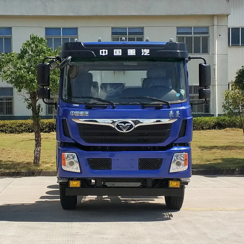 Moteur diesel à 12 roues LHD RHD 8*4/6*4 Camion-décharge pour le transport des infrastructures