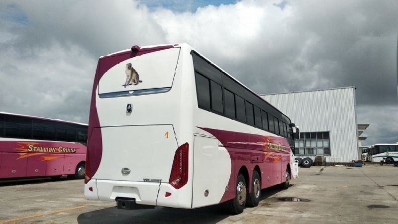 55 sièges LHD Drive Type Luxe Coaches pour les bus urbains Le meilleur choix